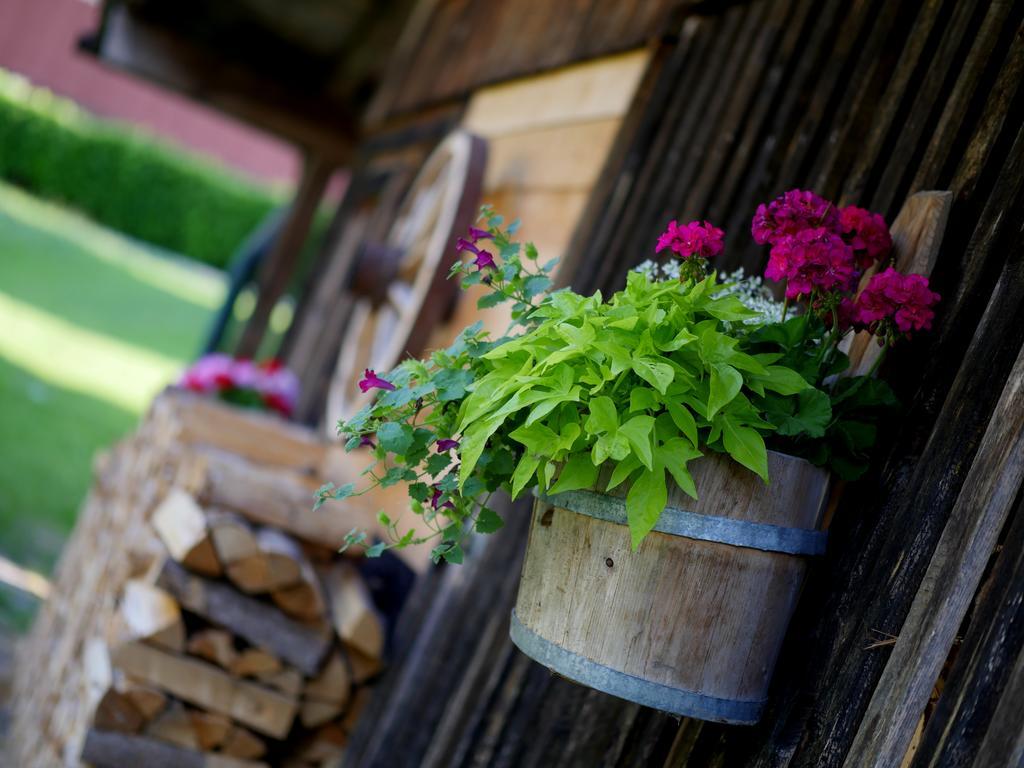 Ederfeld Aparthotel Mayrhofen